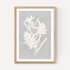 Botanical Illustration V