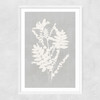 Botanical Illustration V Narrow White Frame