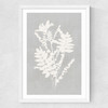 Botanical Illustration V Medium White Frame