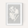 Botanical Illustration V