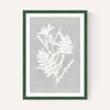 Botanical Illustration V