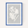 Botanical Illustration V