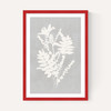 Botanical Illustration V