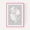 Botanical Illustration V
