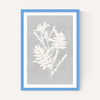 Botanical Illustration V