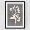 Botanical Illustration VI Medium Black Frame
