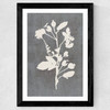 Botanical Illustration VI
