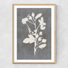 Botanical Illustration VI Narrow Oak Frame