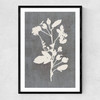 Botanical Illustration VI