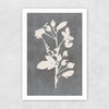 Botanical Illustration VI Unframed Print