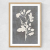 Botanical Illustration VI Medium Oak Frame