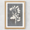 Botanical Illustration VI Wide Oak Frame