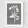 Botanical Illustration VI