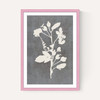 Botanical Illustration VI