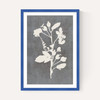 Botanical Illustration VI