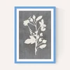 Botanical Illustration VI