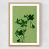 Terre Verte I Medium Oak Frame