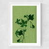 Terre Verte I Medium White Frame