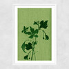 Terre Verte I Narrow White Frame