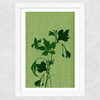 Terre Verte I Wide White Frame