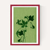 Terre Verte I