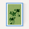 Terre Verte I