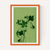Terre Verte I