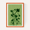 Terre Verte II