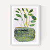 Potted Plant I