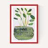 Potted Plant I