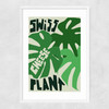 Swiss Cheese Plant Narrow White Frame