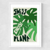 Swiss Cheese Plant Medium White Frame