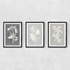 Botanical Illustration Triptych Narrow Black Frame