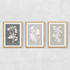 Botanical Illustration Triptych