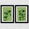 Terre Verte Set Wide Black Frame