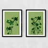 Terre Verte Set Narrow Black Frame