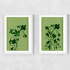 Terre Verte Set Medium White Frame