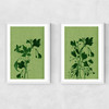 Terre Verte Set Narrow White Frame