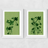 Terre Verte Set Wide White Frame