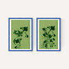 Terre Verte Set
