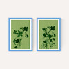 Terre Verte Set