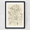 Farmhouse Flowers Medium Black Frame