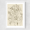 Farmhouse Flowers Medium White Frame