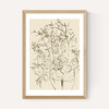 Farmhouse Flowers