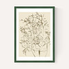 Farmhouse Flowers