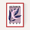 October Baby
