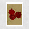 Winter Fruit Unframed Print