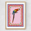 Birdframe Macaw Medium Oak Frame