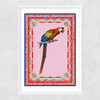 Birdframe Macaw Narrow White Frame