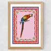Birdframe Macaw Wide Oak Frame